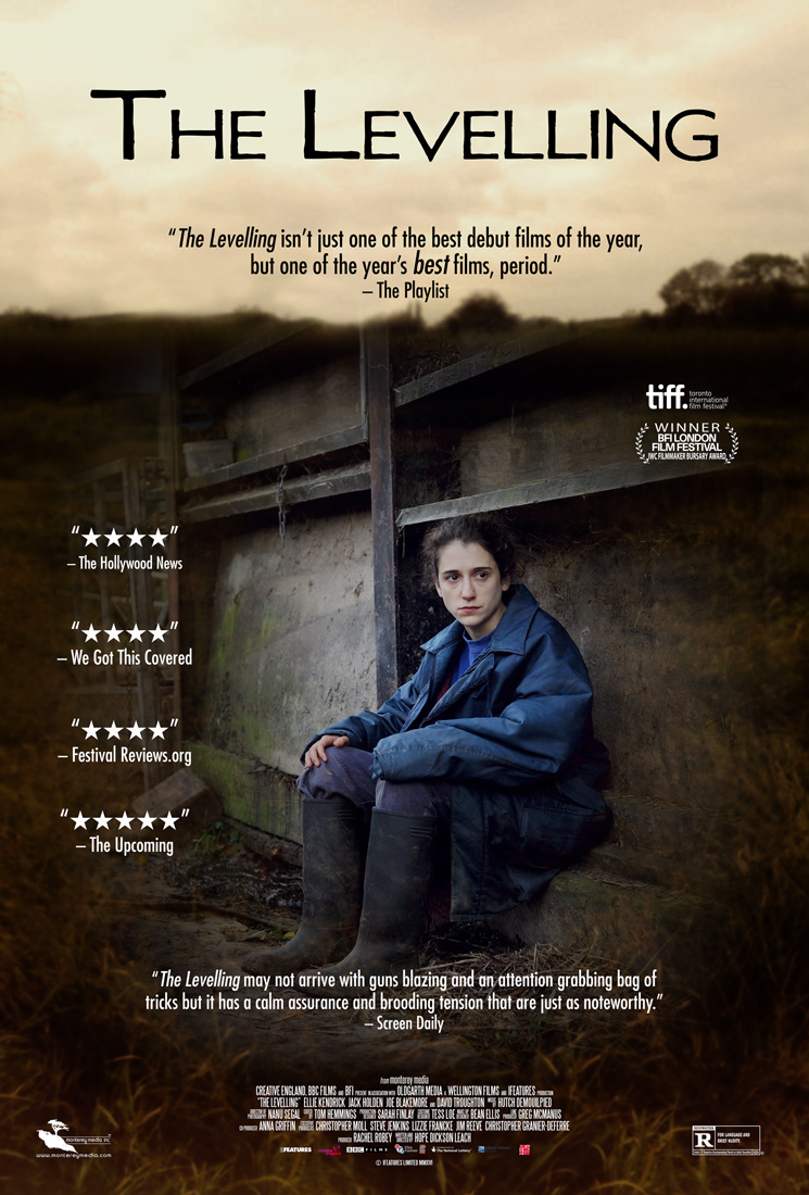 The Levelling Poster